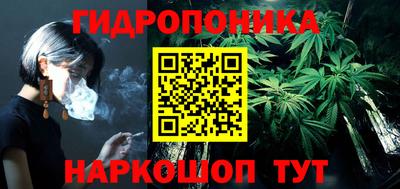гашик Тверь