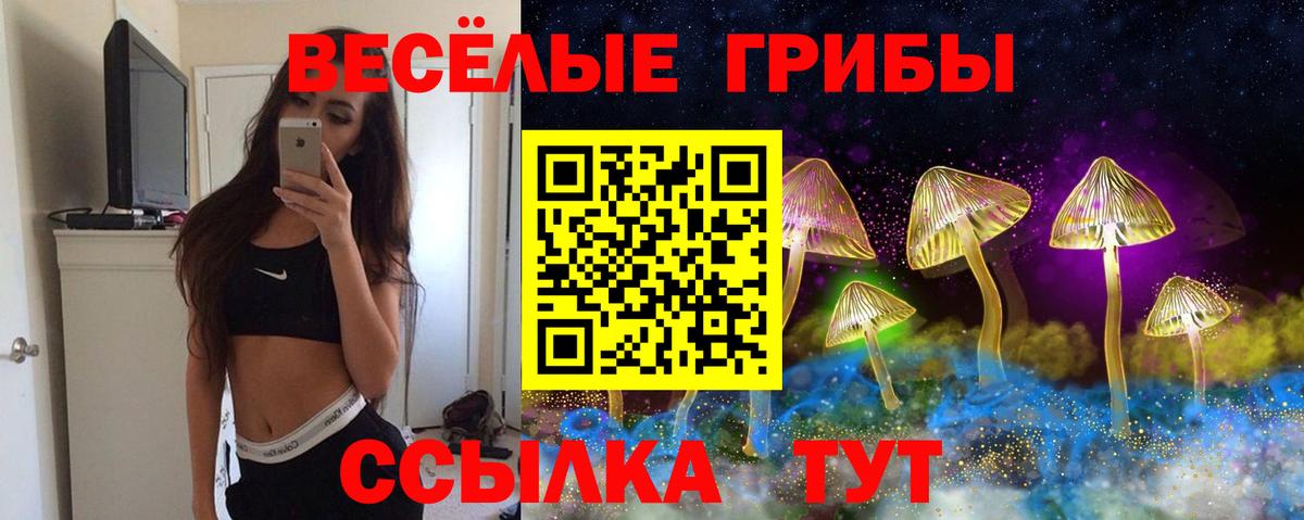 Галлюциногенные грибы Psilocybe  Вход с VPN  Урюпинск 